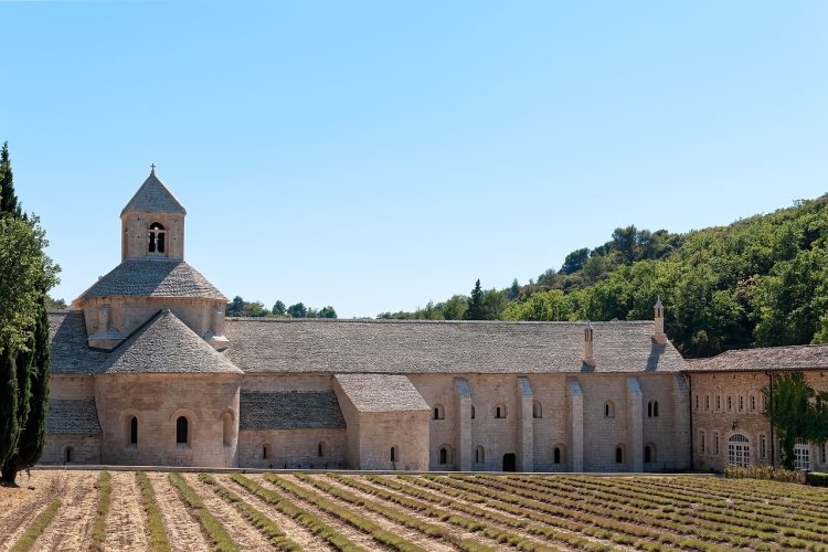 Transmettre votre patrimoine : demandez conseil à un expert