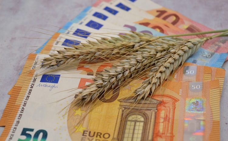 Comment réaliser des placements financiers intéressants en 2022 ?