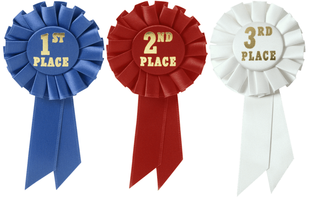 Comment la médaille du travail valorise les efforts et la fidélité en entreprise